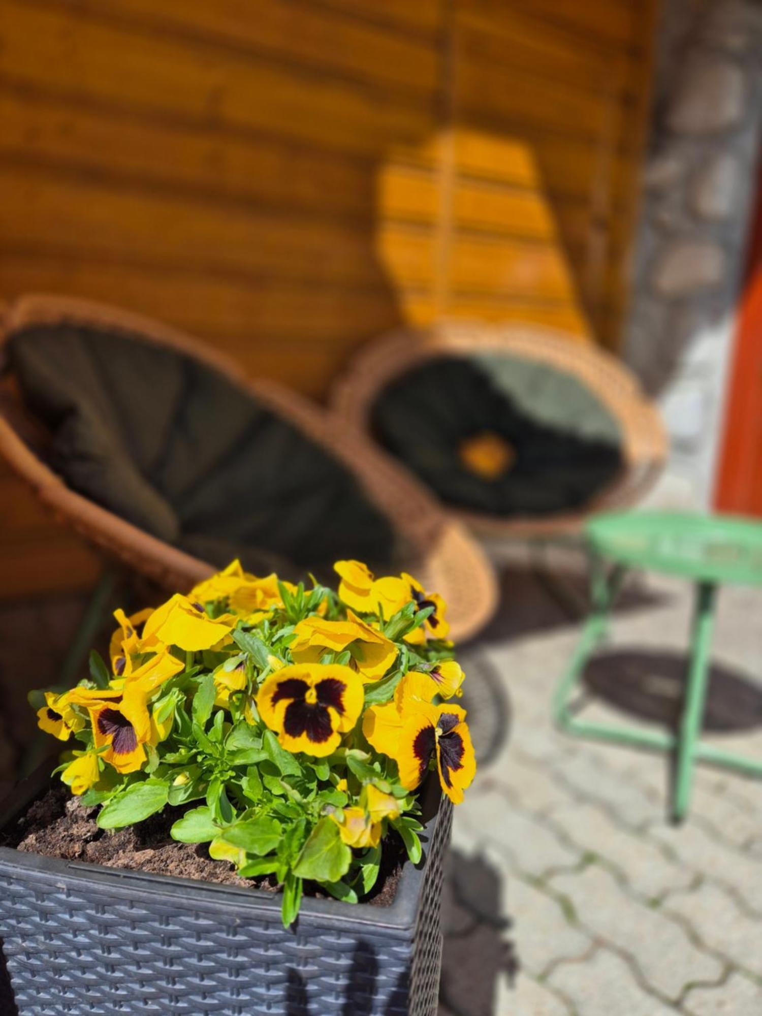 U Parow Sauna & Jacuzzi Białka Tatrzańska Exteriér fotografie